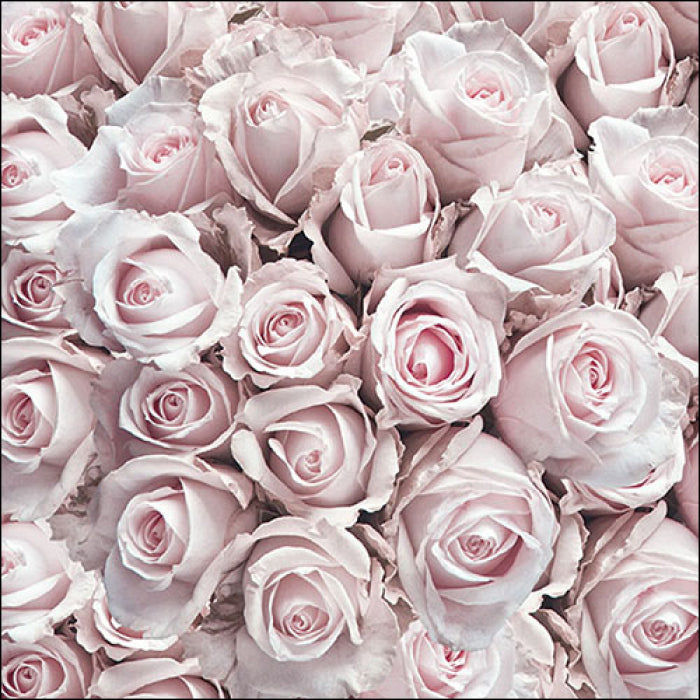 Pastel Roses Pink Party Napkins pack of 5 3 ply serviettes