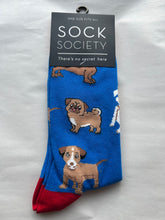 Load image into Gallery viewer, Dogs Doggies Toe Socks SOCK SOCIETY Royal Blue Ankle Socks Adult One Size Fit All FREE UK Postage