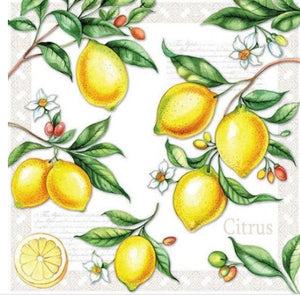 Citrus Lemons Paper Party Napkins pack of 20 3 ply serviettes