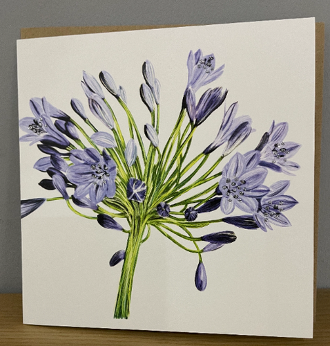 Agapanthus floral Glitter Card with Envelope by English Graphics FREE UK POSTAGE