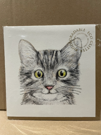 Cat Whiskers Glitter Card with Envelope by English Graphics FREE UK POSTAGE