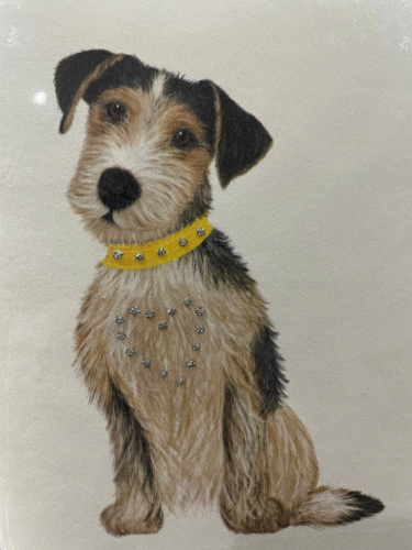 Dog Yellow collar Glitter Card with Envelope by English Graphics FREE UK POSTAGE