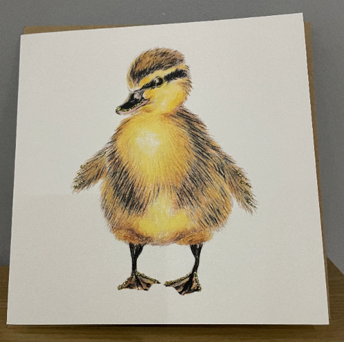 Duckling Glitter Card with Envelope by English Graphics FREE UK POSTAGE