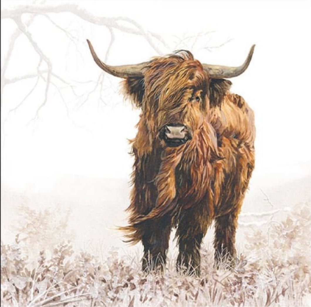 5 x Single Paper Party Napkins for Decoupage Highland Cow 5 3 ply serviettes Free UK Postage