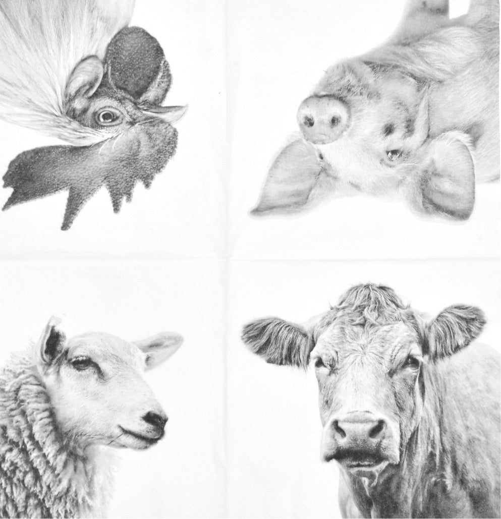Farm Pig Cow farmyard Paper Party Napkins pack of 5 3 ply serviettes for Decoupage