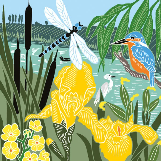 Kingfisher Dragonfly Blank Greetings Card & Envelope Nature Kate Heiss FREE UK POSTAGE