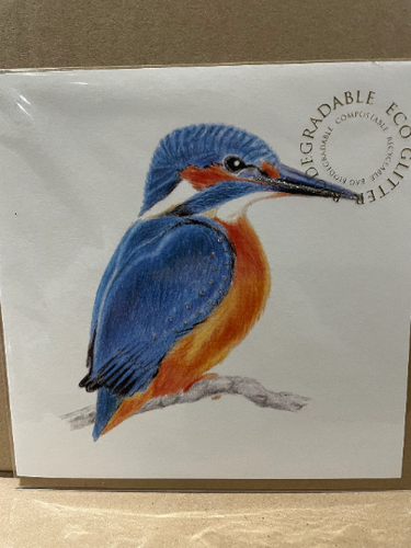 Kingfisher Glitter Card with Envelope by English Graphics FREE UK POSTAGE