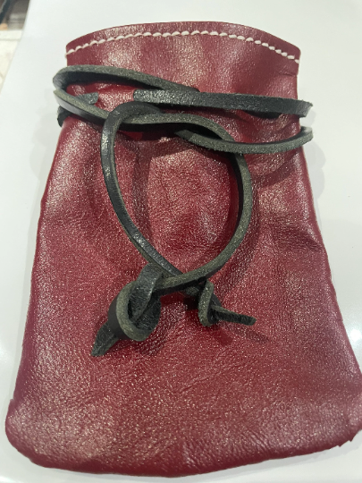 Belt 2025 loop purse